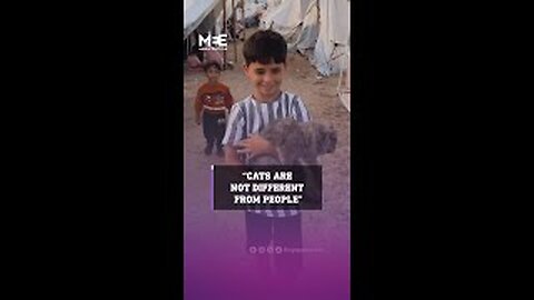 Child in Gaza talks about his cat being frightened by war