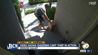 Video shows 'shopping cart' thief in action