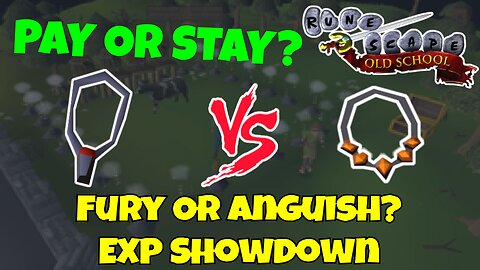 Pay or Stay #43 | Fury vs Anguish | OSRS NMZ