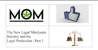 The New Legal Marijuana Industry and the Legal Profession : Part 1