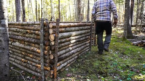 16+The jungle builds a survival cabin