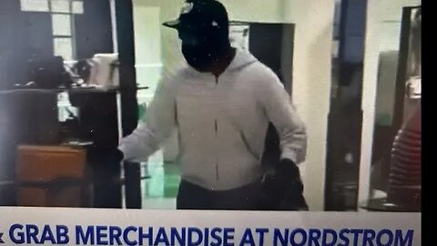 “FLASH MOB ROBBERY NORDSTROM