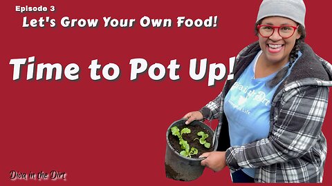 Part 3 Grow Your Own Food : Container Planting | #growyourownfood
