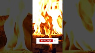 💥 The One And Only 🤯 AMAZING Birch Wood Fireplace 4k ❤️‍🔥 Video Link Below