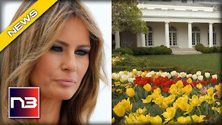 Leftist Radicals Now Targeting Melania Trump’s Rose Garden Work