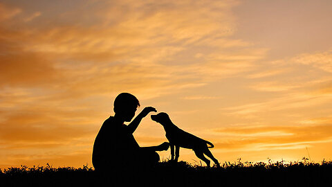 Man's First Friend: The Epic Story of Humans and Dogs [Full Documentary] 🐶❤️🐕‍