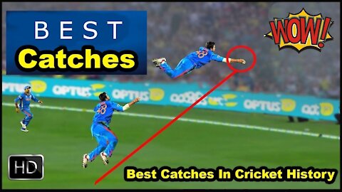 Best Amazing Catches in Cricket History HD