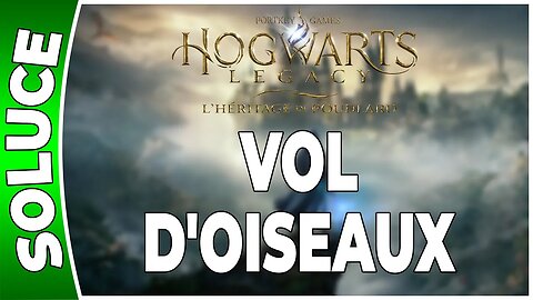 Hogwarts Legacy : l'Héritage de Poudlard - VOL D'OISEAUX - Annexe 64 - [FR PS5