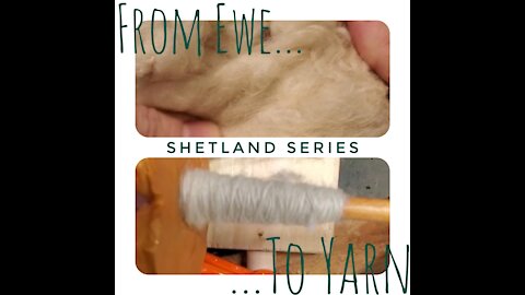 From Ewe to Yarn(Shetland Series-Part 1)