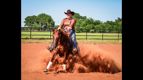 SOLD - PLAIN DREAMS, 2017 AQHA mare