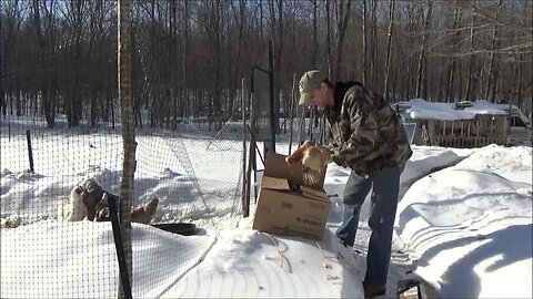 Beautiful New Addition To The Off Grid Homestead