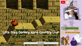 Donkey Kong Country part 3