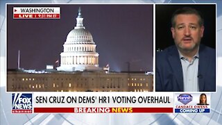 Cruz: Dems Are Trying to Manipulate And Steal Election Results