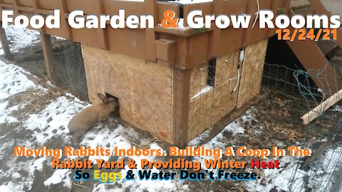 Moving Rabbits Indoors. Building A Coop & Winter Heat. 12/24/21 Food Garden & Grow Rooms.