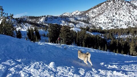 Ares skis Incline peak