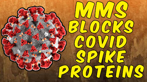 Study Proves That MMS Blocks SARS-CoV-2 Spike Proteins