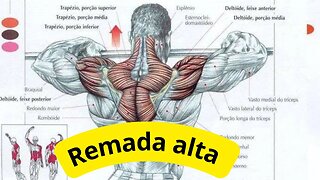 Como fazer a remada alta corretamente