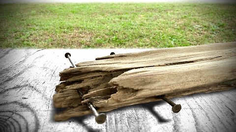 RESTORATION: rotten piece of wood