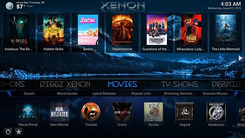 How To Install Diggz Xenon Kodi Build on Firestick/Android