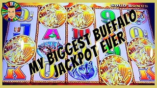 💥My Biggest Jackpot Ever on Buffalo Gold MUST WATCH💥
