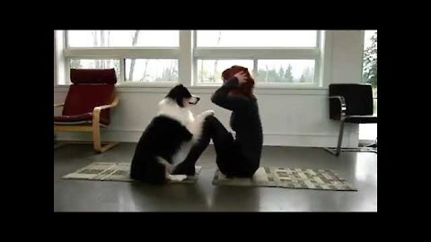 Dog Is Doing Yoga With His Owner | The Yoga Dog 2021