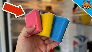 Put a Sponge in your Fridge and WATCH WHAT HAPPENS💥(Surprising)🤯