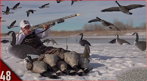 Epic solo Goose Hunt On Ice !
