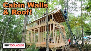 Offgrid Cabin Build: Part 4 - Framing the Walls and Roof