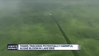 Teams tracking potentially harmful algae bloom in Lake Erie