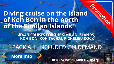 🐋Diving #cruise in Koh Bon Thailand, north of the Similan Islands
