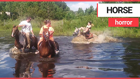 Frightening moment horse fall on woman in pond