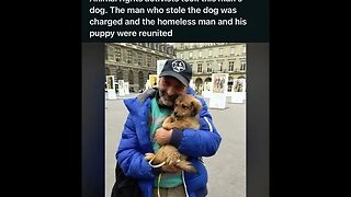 Man Takes Homeless Man Puppy