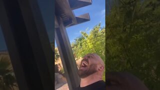 Ryback Laughing at His Own Jokes #Shorts