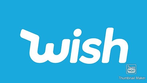 How to navigate Wish Website by B&D Product & Food Review