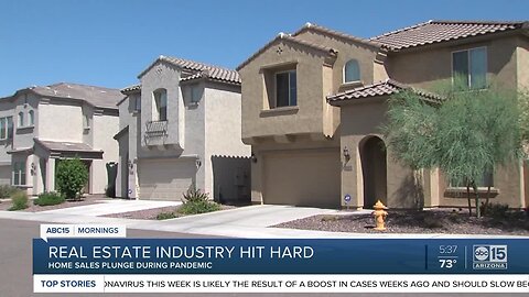 Home sales plunge as the real estate industry takes big hit