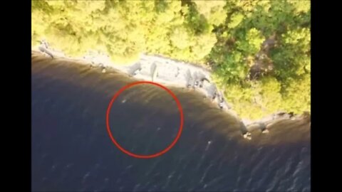 Loch Ness Monster Captured On Drone Footage Paranormal News