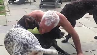 Playful Dogs Make It Impossible For Owner To Workout