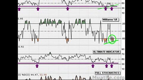 HOT Bounce Stocks To Watch; CUB 12/18/2007