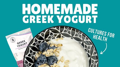 How to Make Homemade Greek Yogurt with Cultures for Health Starter Culture