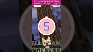 Do You Know This? Ep 101 | Minecraft Trivia