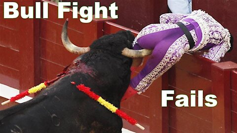 Hilarious videos 2021: Most awesome bullfighting festival funny crazy bull fails