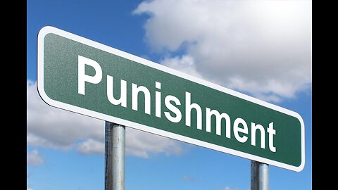 Unintended Consequences: The Hidden Side Effects of Punishment