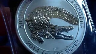 Silver Unboxing: Australian Saltwater Crocodile