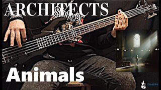 Architects - Animals Bass Cover (Tabs)