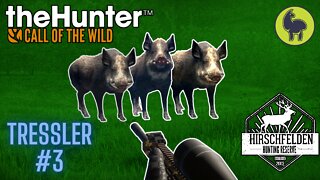 The Hunter: Call of the Wild, Tressler #3 Hirschfelden (PS5 4K)