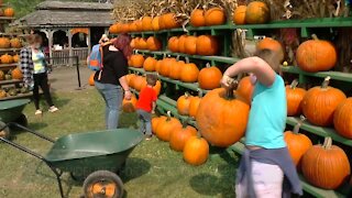 CDC issues guidelines for fall and Halloween safety