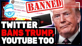 Twitter BANS Trump & So Does Facebook! This Is A SCARY Precedent!