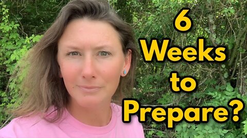 IF You ONLY Have 6 Weeks to PREPARE! - Appalachia's Homestead With Patara Must Video