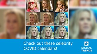 Check out these celebrity COVID calendars!