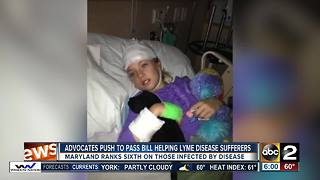 Advocates Push to Pass Bill Helping Lyme Disease Victims